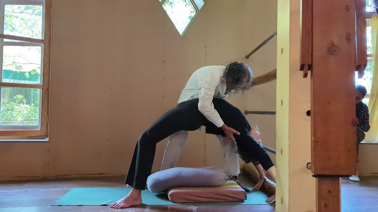 Formation de professeur de yoga de 320 heures à Dharamshala