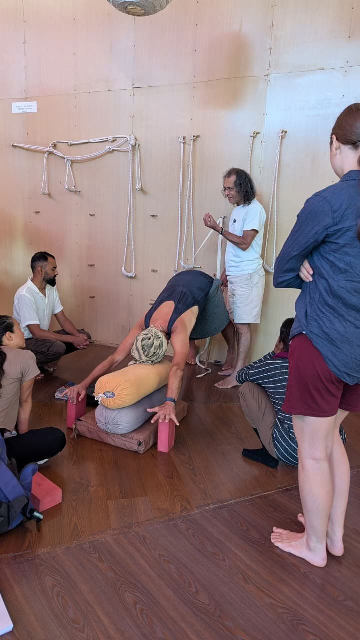 Formation de professeur de yoga de 320 heures à Dharamshala