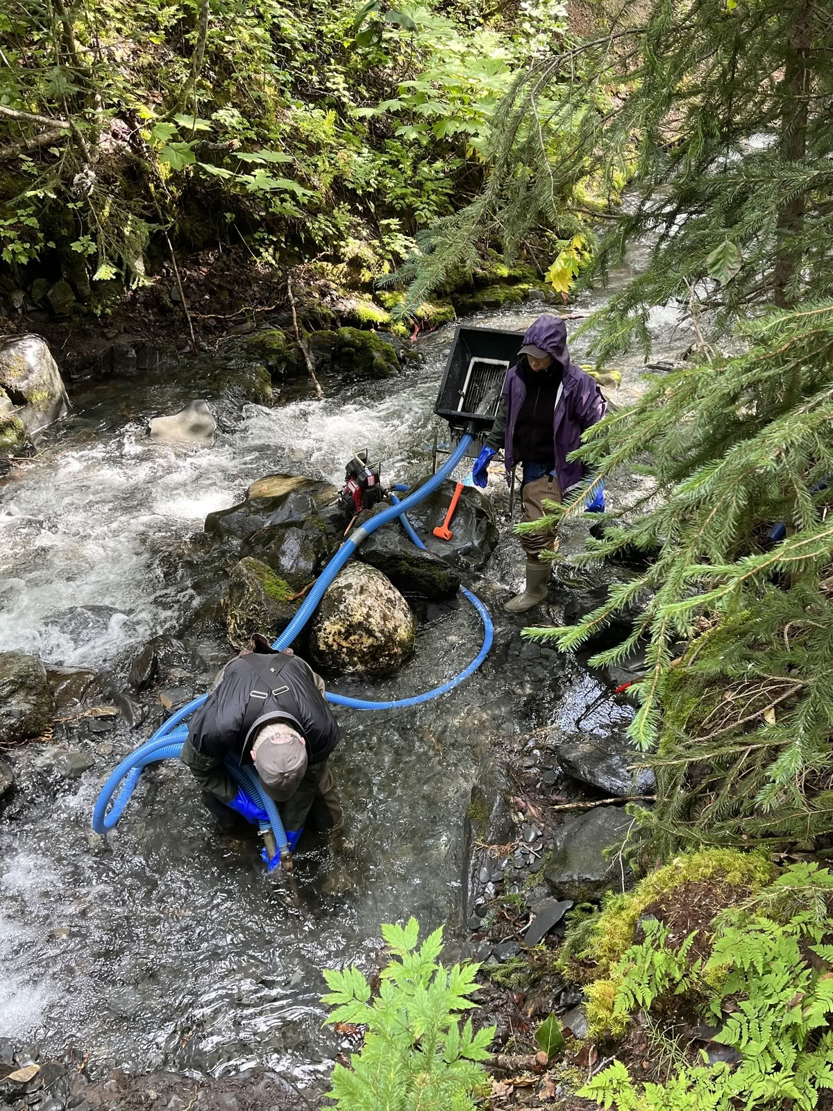 Orpaillage et vol au-dessus du glacier