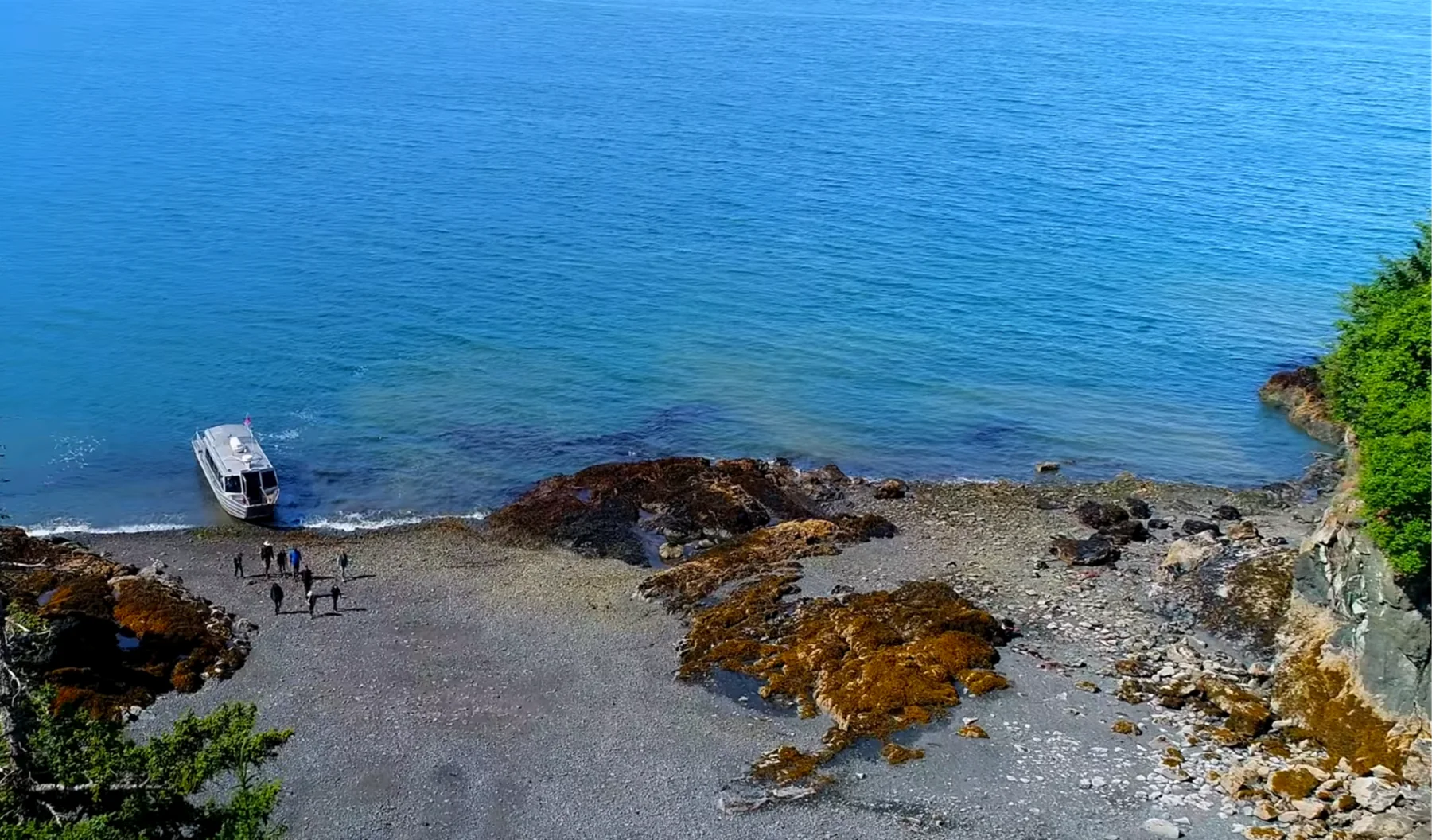 Exploration des mares littorales