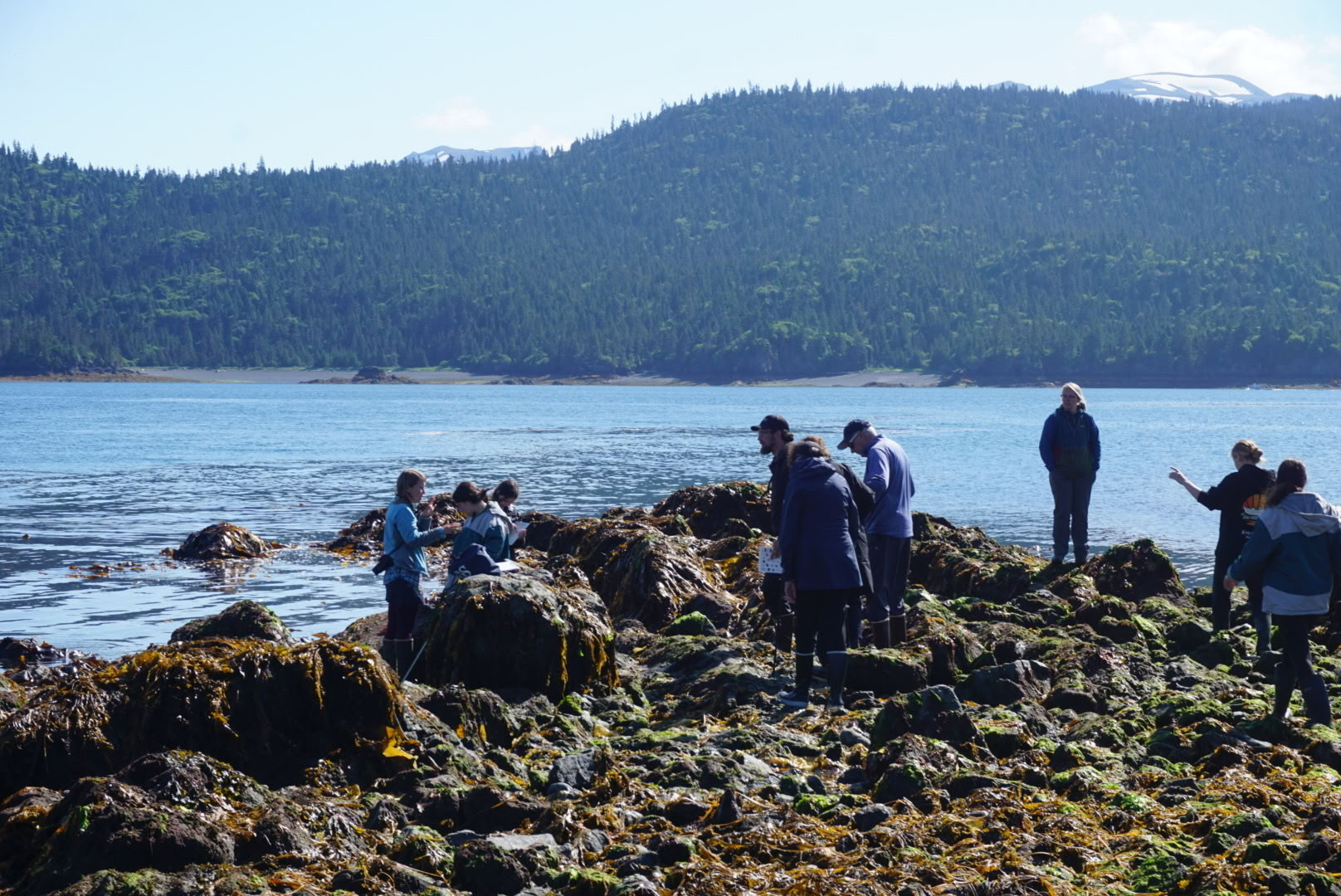 Exploration des mares littorales