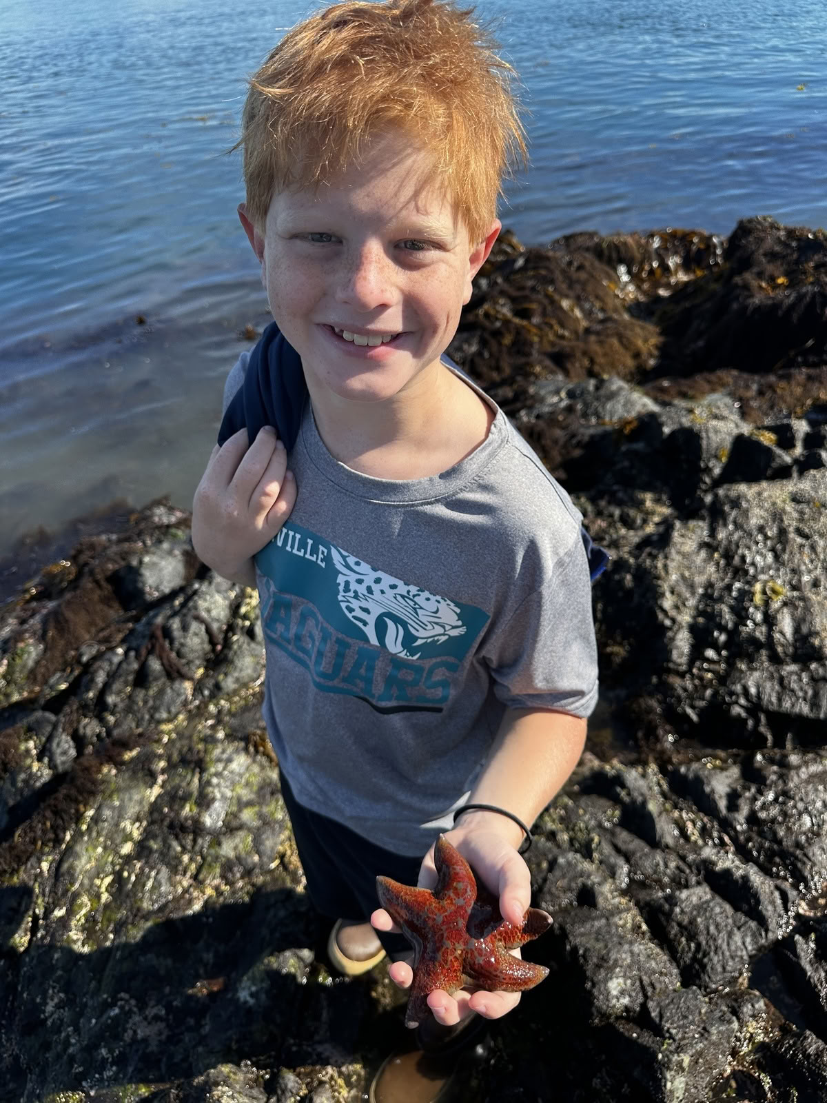 Exploration des mares littorales