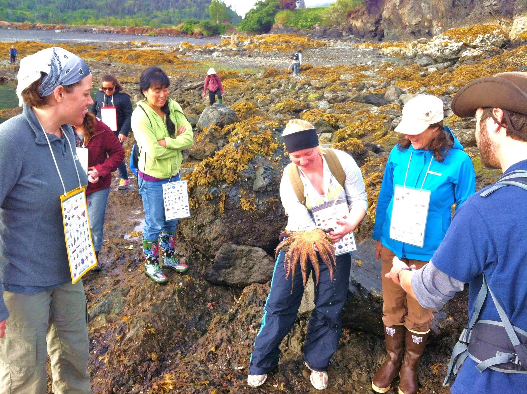 Exploration des mares littorales