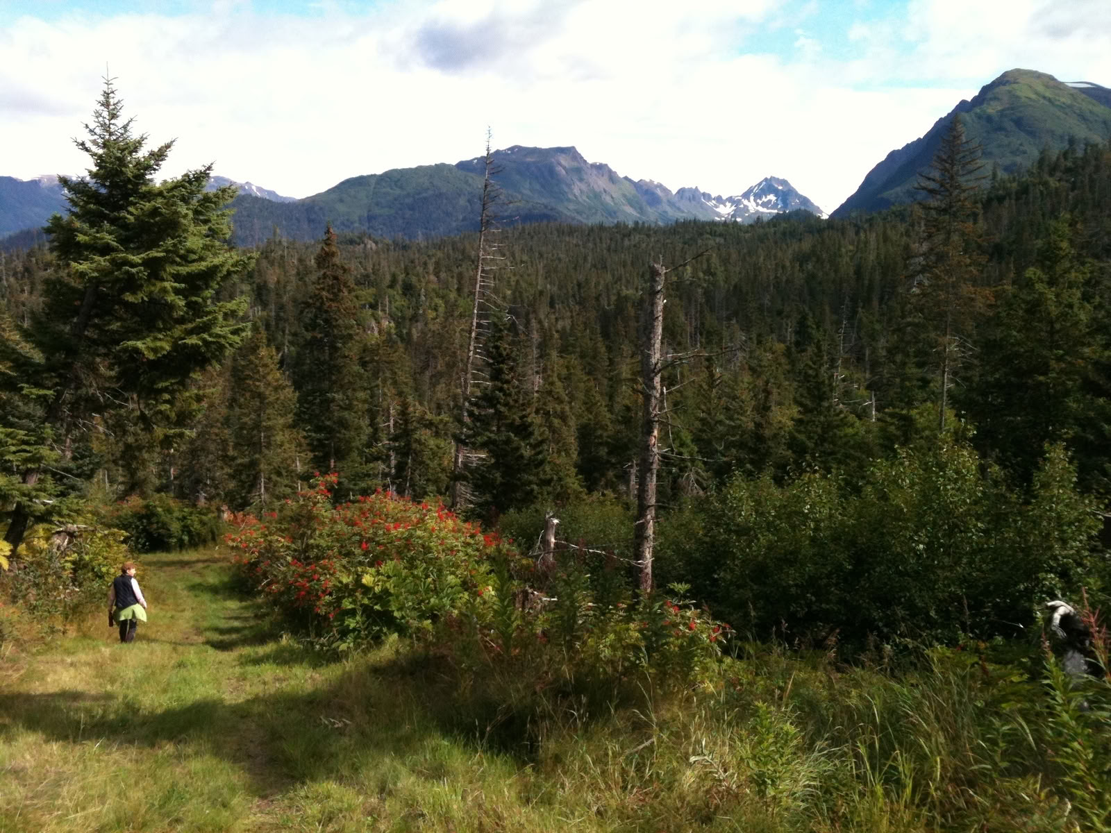 Randonnée locale en Alaska