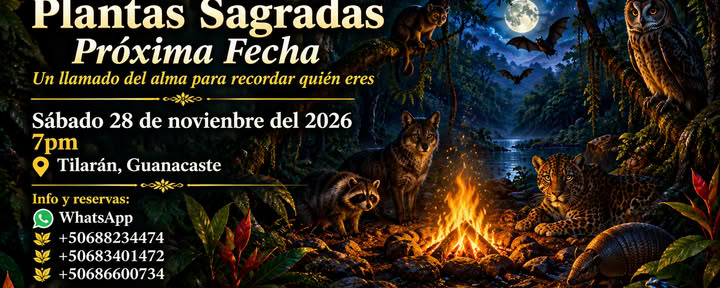 Plantes sacrées, ancestrales, remèdes pour l'âme