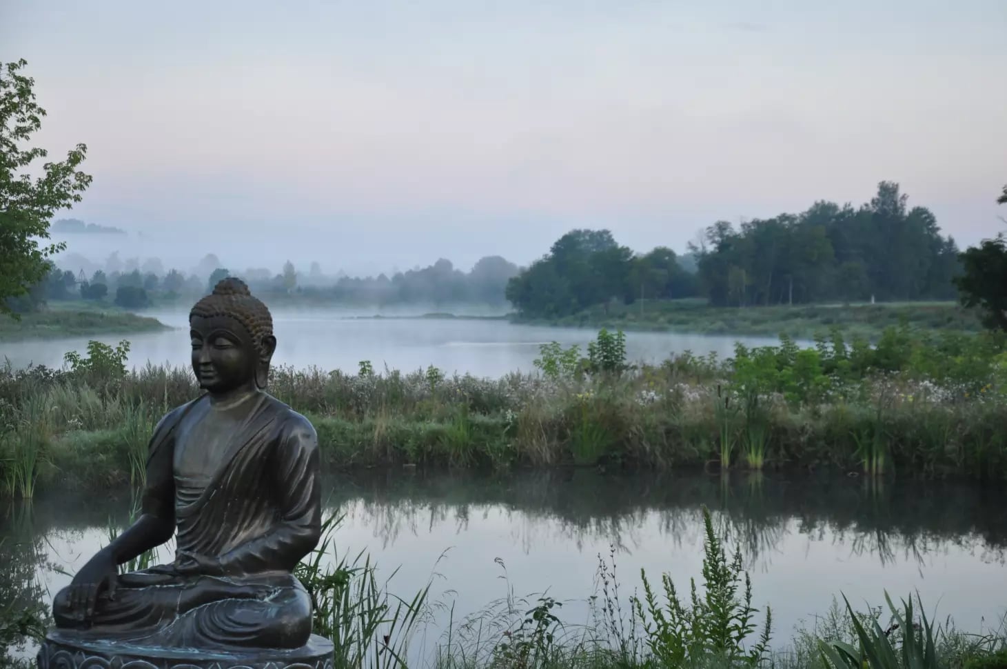 Forêt Zen