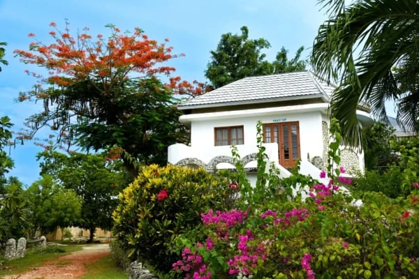 Coral Cove Wellness Resort, Jamaïque