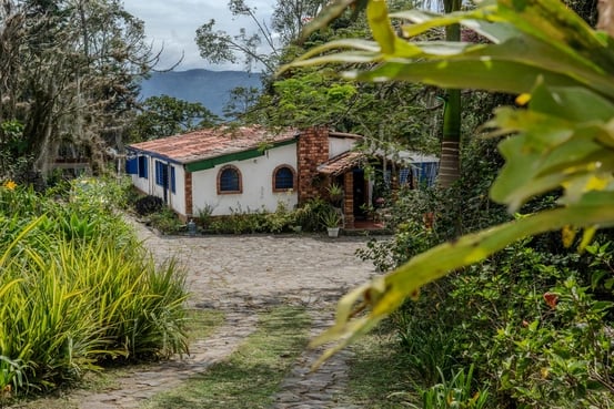 Retraite Ayahuasca Harmonica