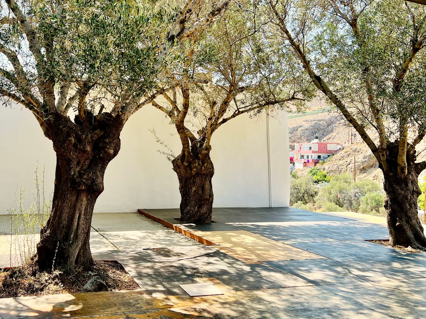 Yoga en Crète