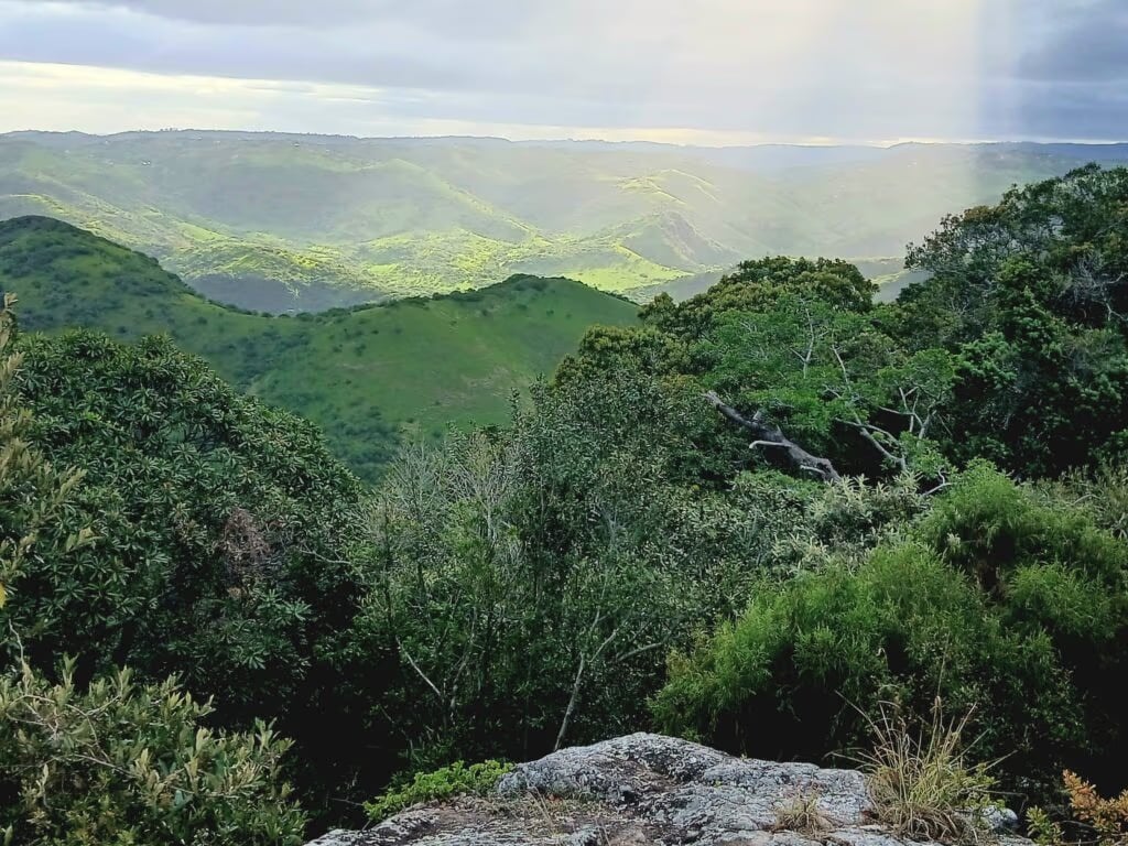 Louis à Magwa Falls