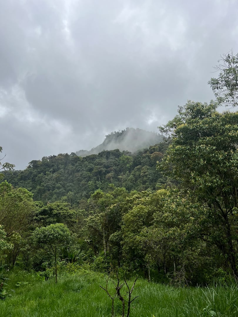 Hayulima : retraites spirituelles et de médecine des plantes
