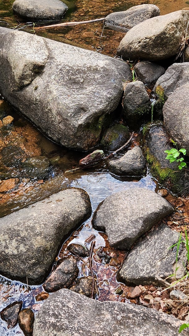 Nature et découverte de la faune sauvage - Campus de montagne