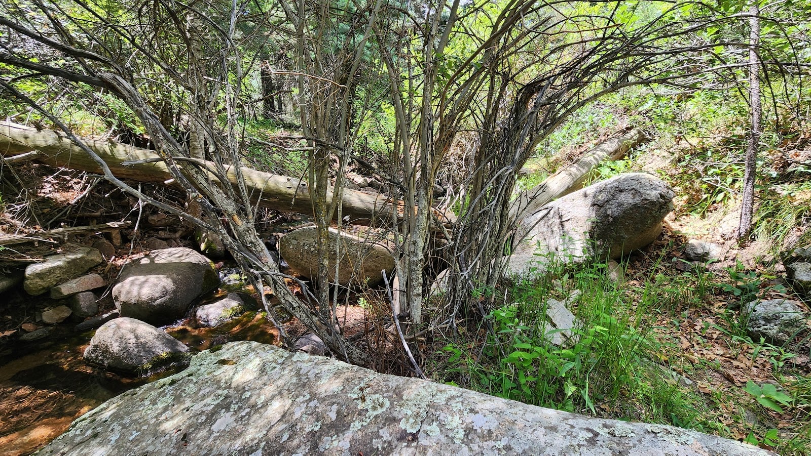 Nature et découverte de la faune sauvage - Campus de montagne