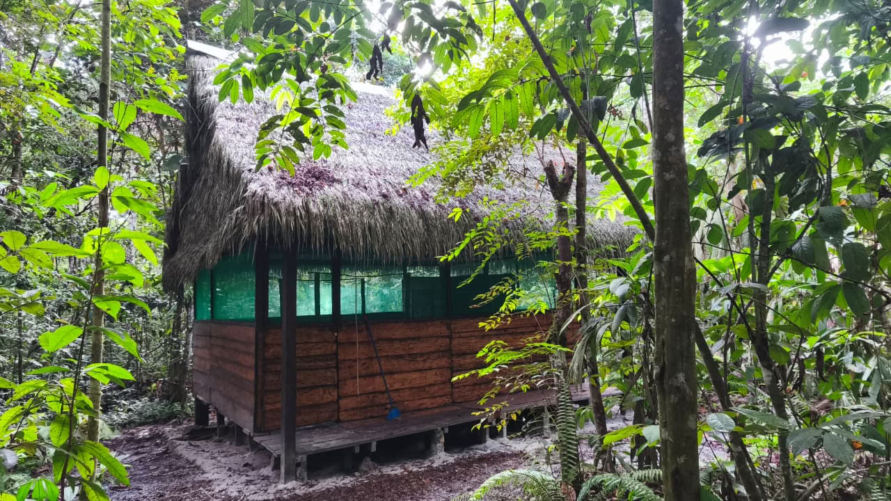 Naturalia centre de retraite | Retraite Ayahuasca au Pérou