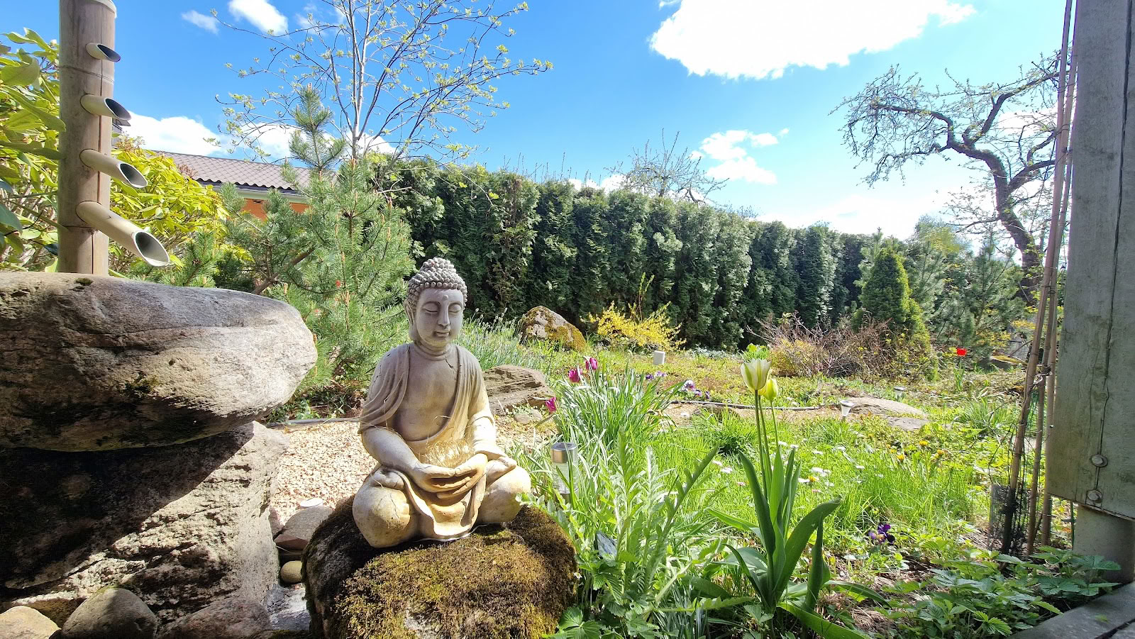 Centre de méditation Ojas, Resort / OJAS Meditation Center Resort