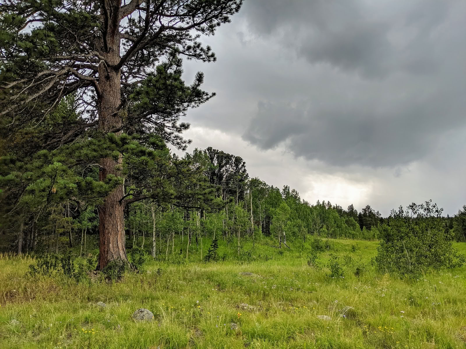 Rocky Mountain Ecodharma Centre de retraite