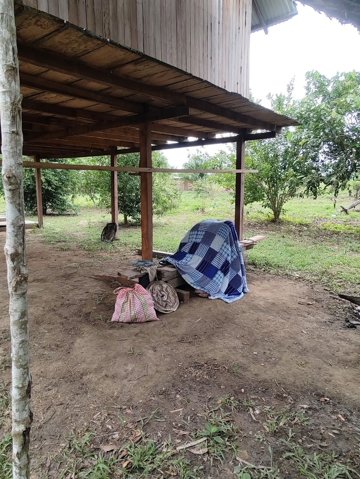 Fondation Shipibo Ayahuasca & Chamanisme