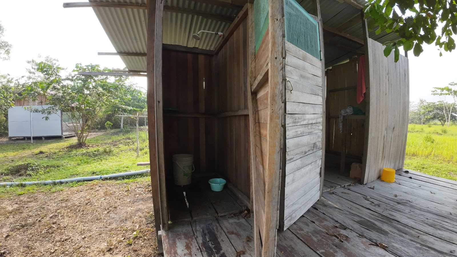 Fondation Shipibo Ayahuasca & Chamanisme