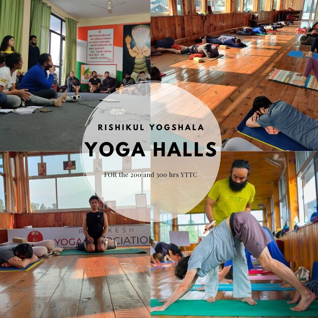 Rishikul Yogshala Rishikesh - Formation de professeurs de yoga à Rishikesh, en Inde