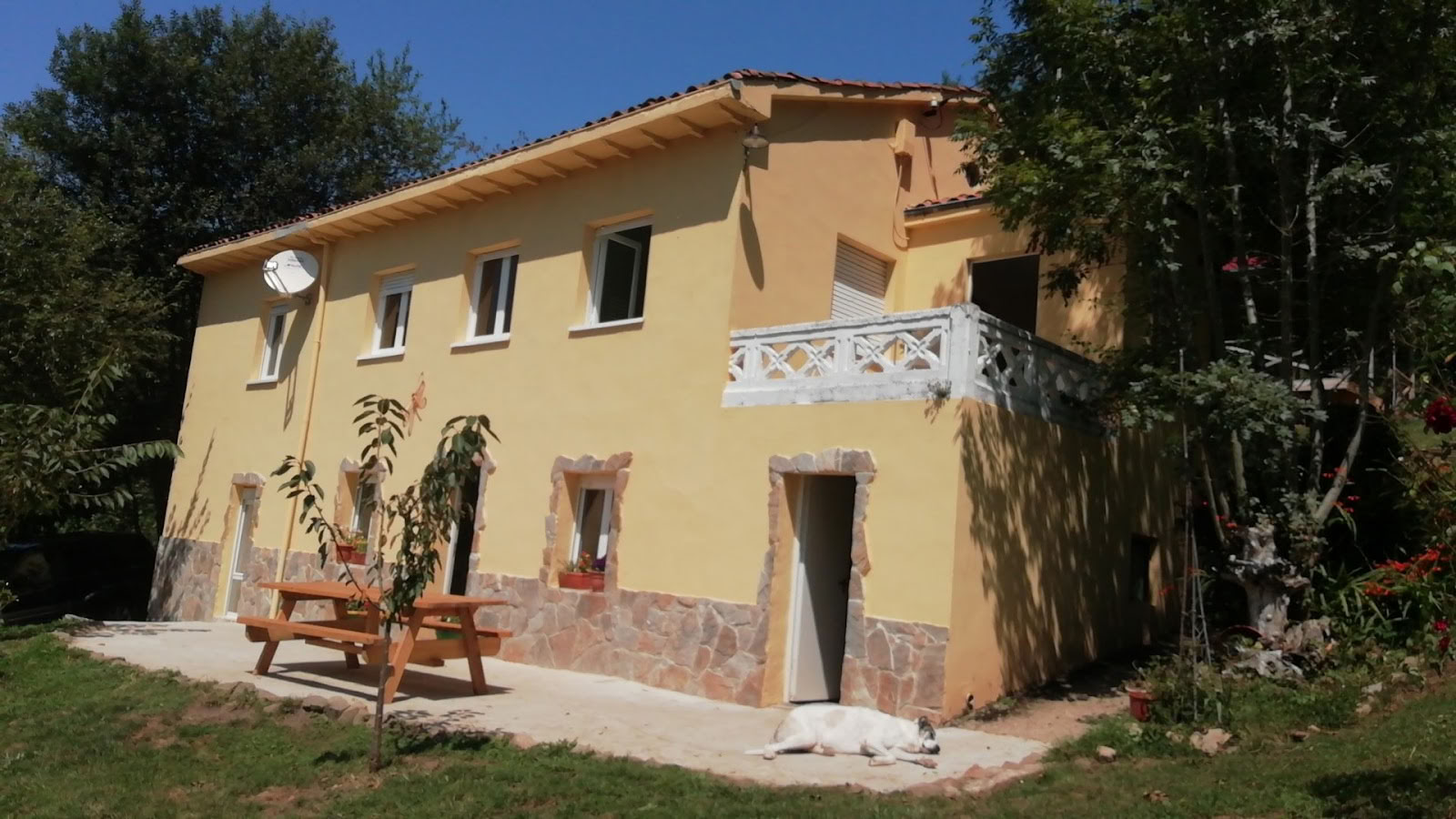 Dragonfly Chi Kung