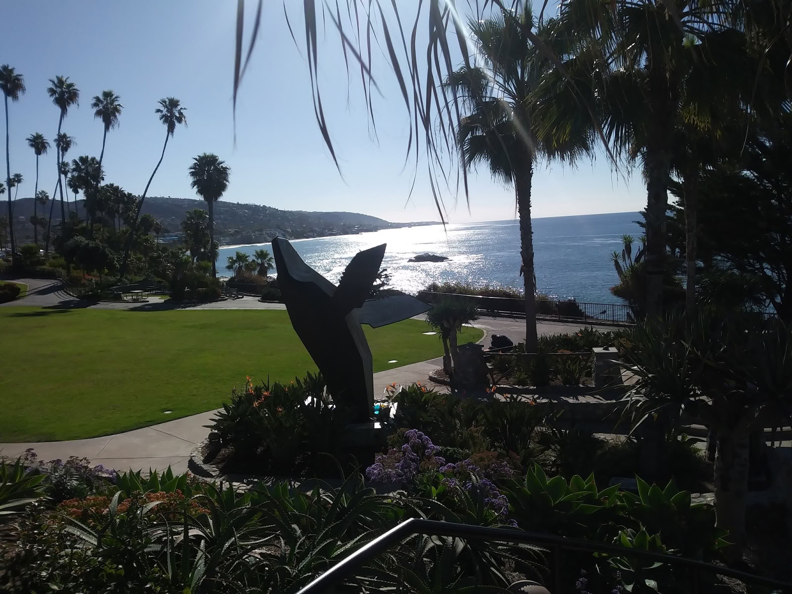 J’aime Laguna Tours & Events