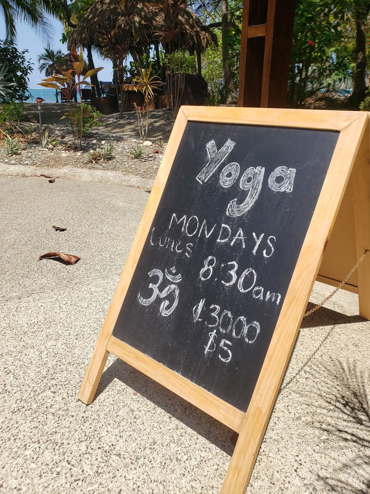 Moon Body Yoga