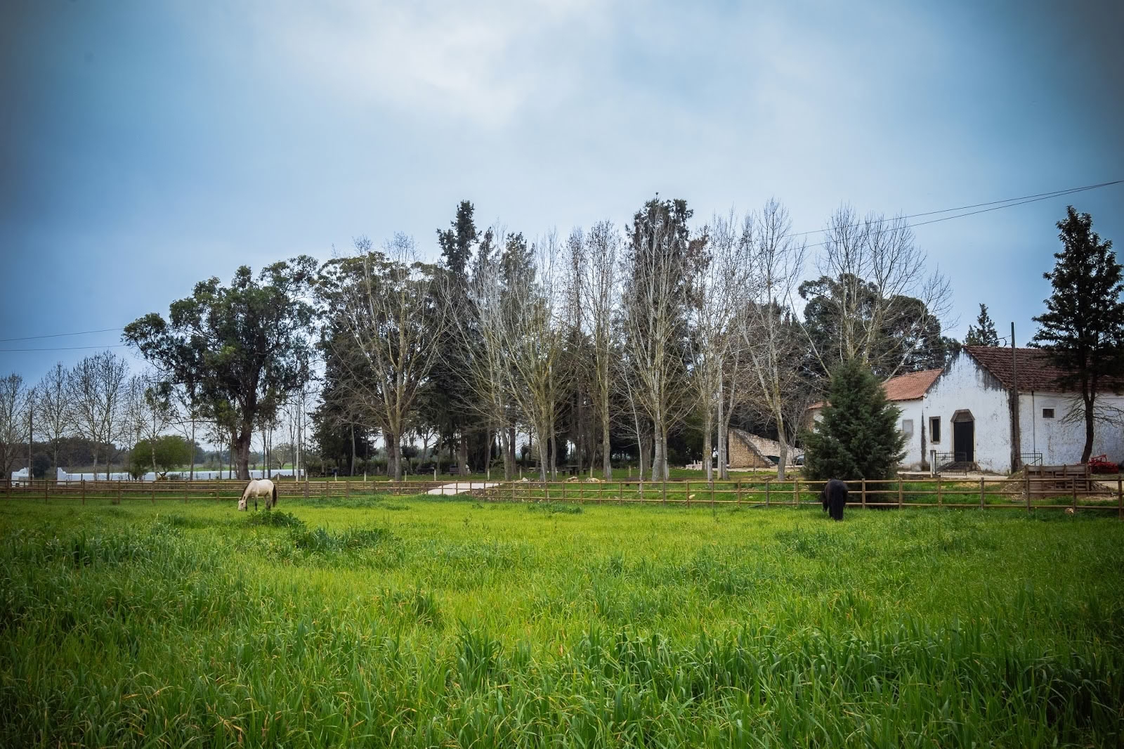 Quinta Carvalhas - AFV Retraites