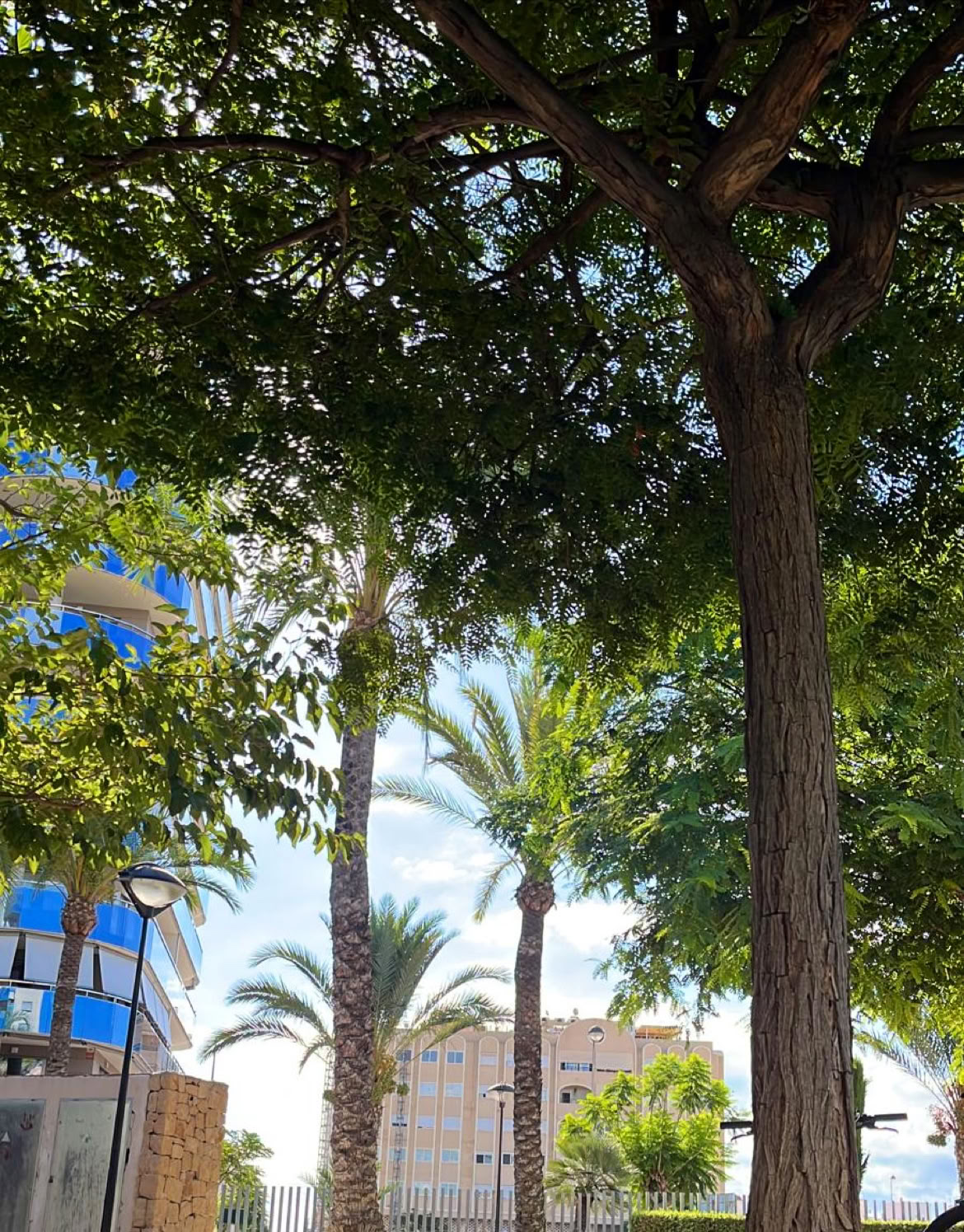 REVIVE RETRAITES & FITNESS by Bomba Fitness Campello