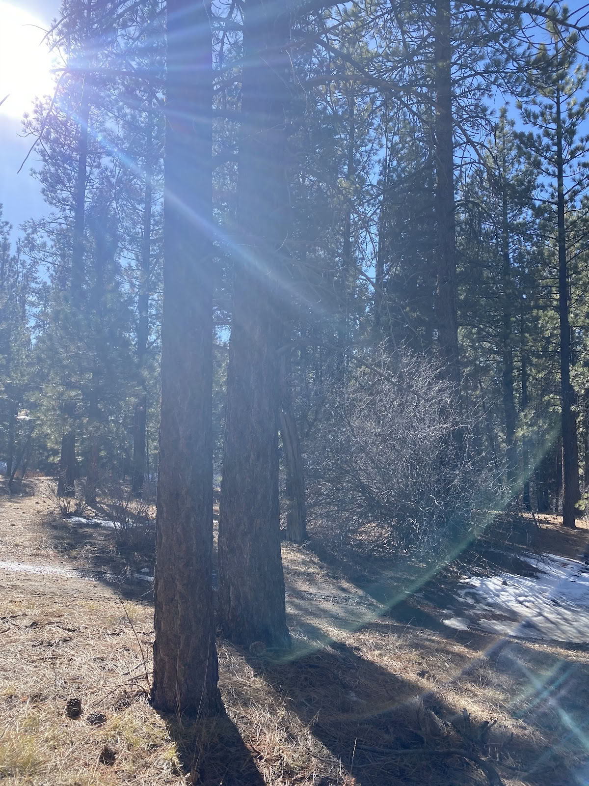 Big Bear Retreat Center
