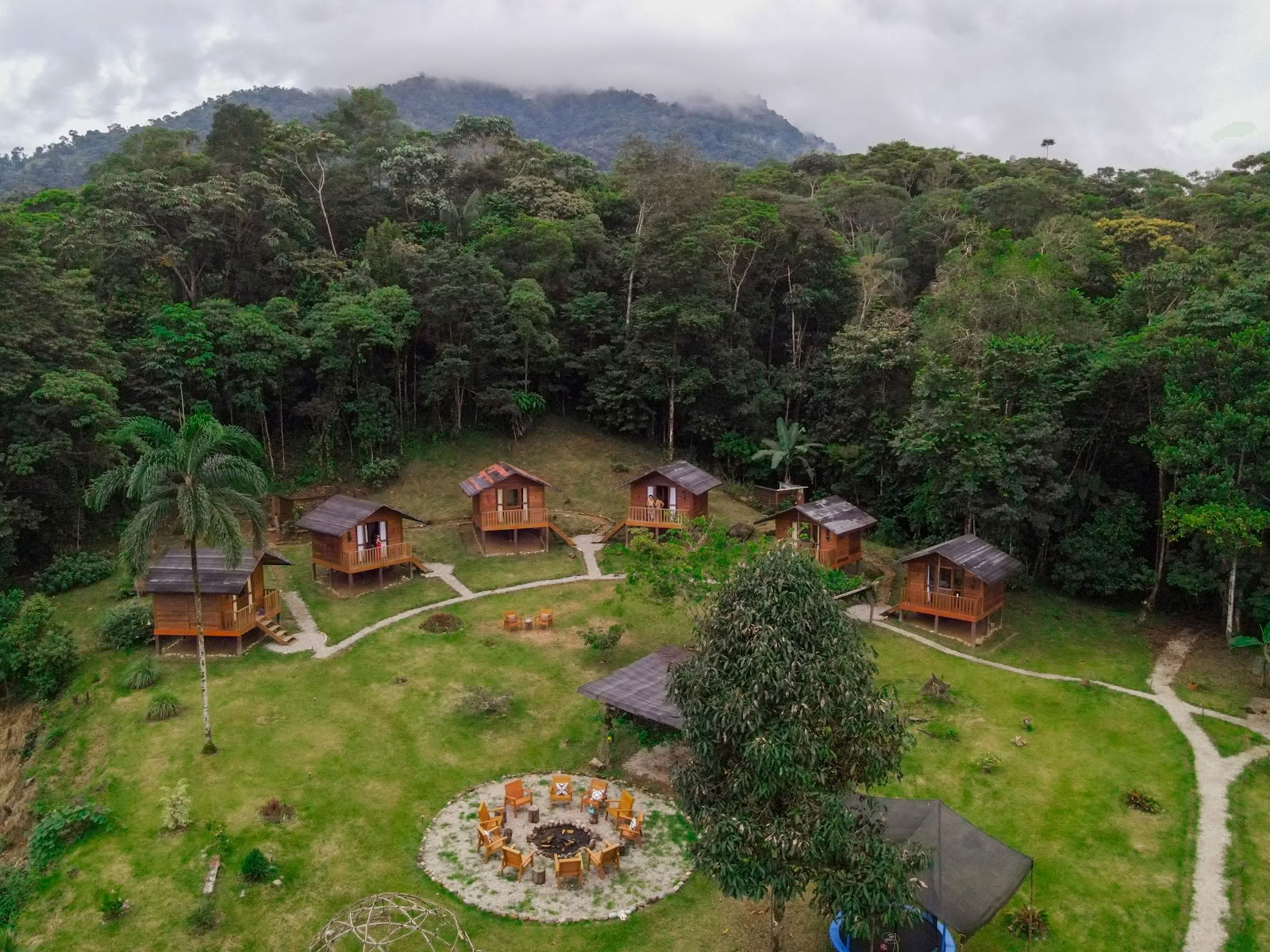 Jungle Harmony - Retraites Ayahuasca Yagé