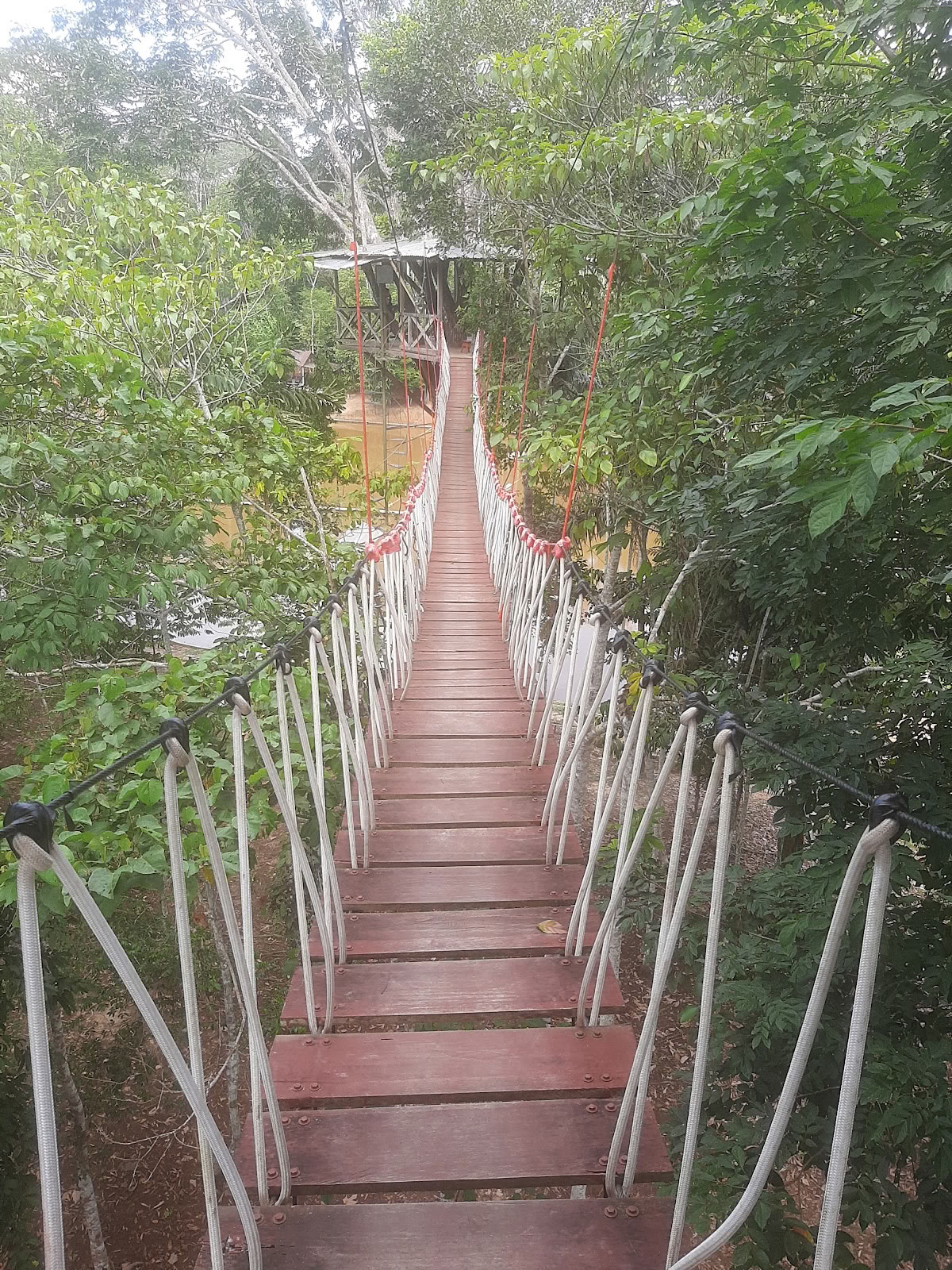 El Purguero Retraite Ayahuasca