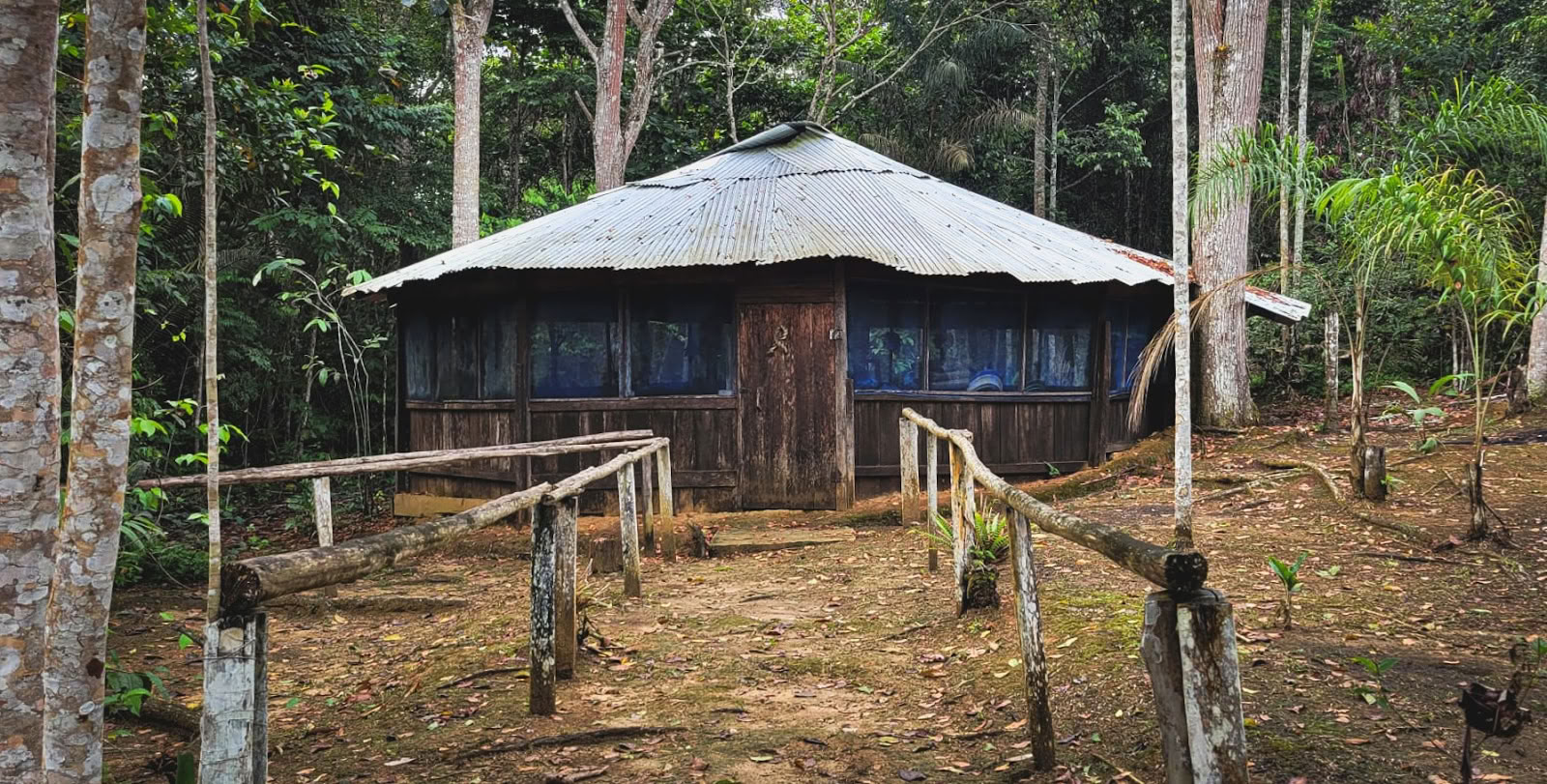 El Purguero Retraite Ayahuasca