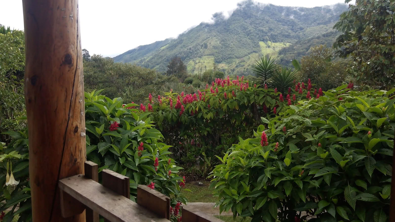 Finca Mia Centre de retraite