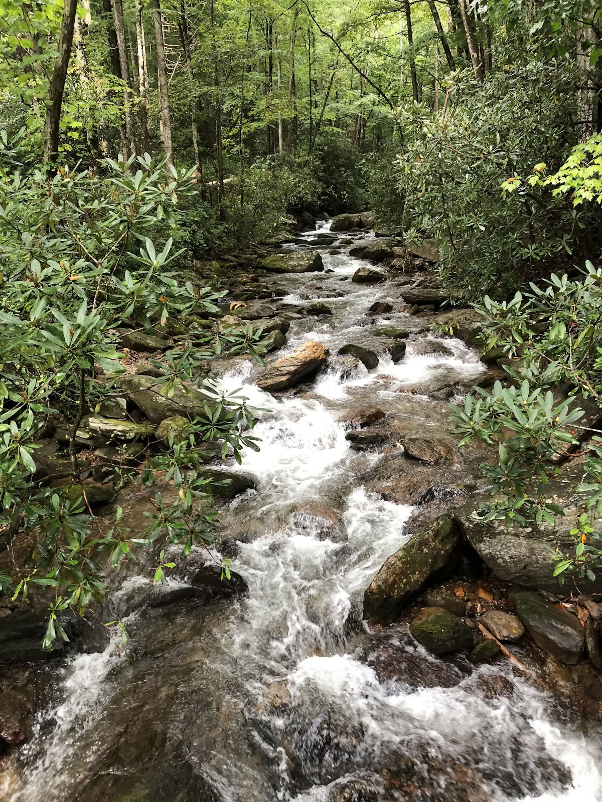 Indigo Nature Retraite
