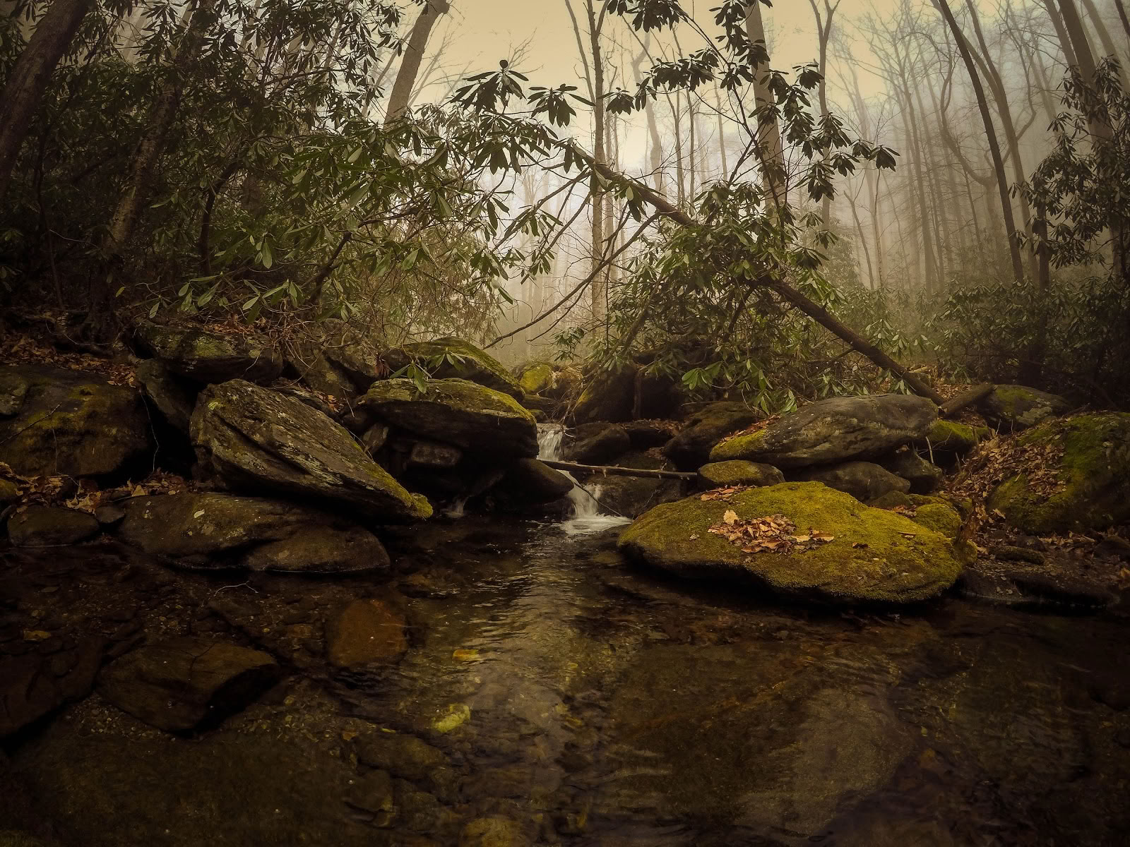 Indigo Nature Retraite