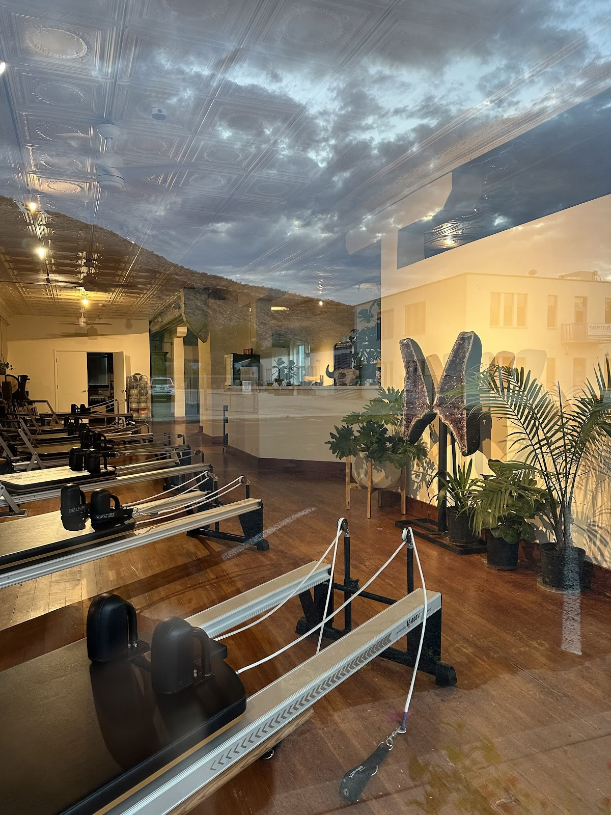 Zion Mystic Wellness