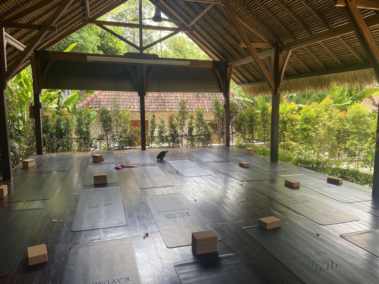 SoHA School of Healing Arts - Formations de professeurs de yoga