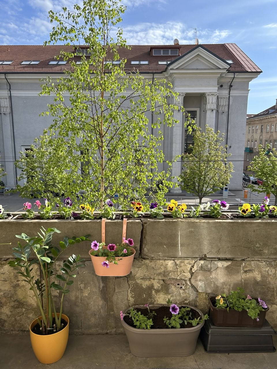 Sivananda Yoga Vedanta Center à Vilnius