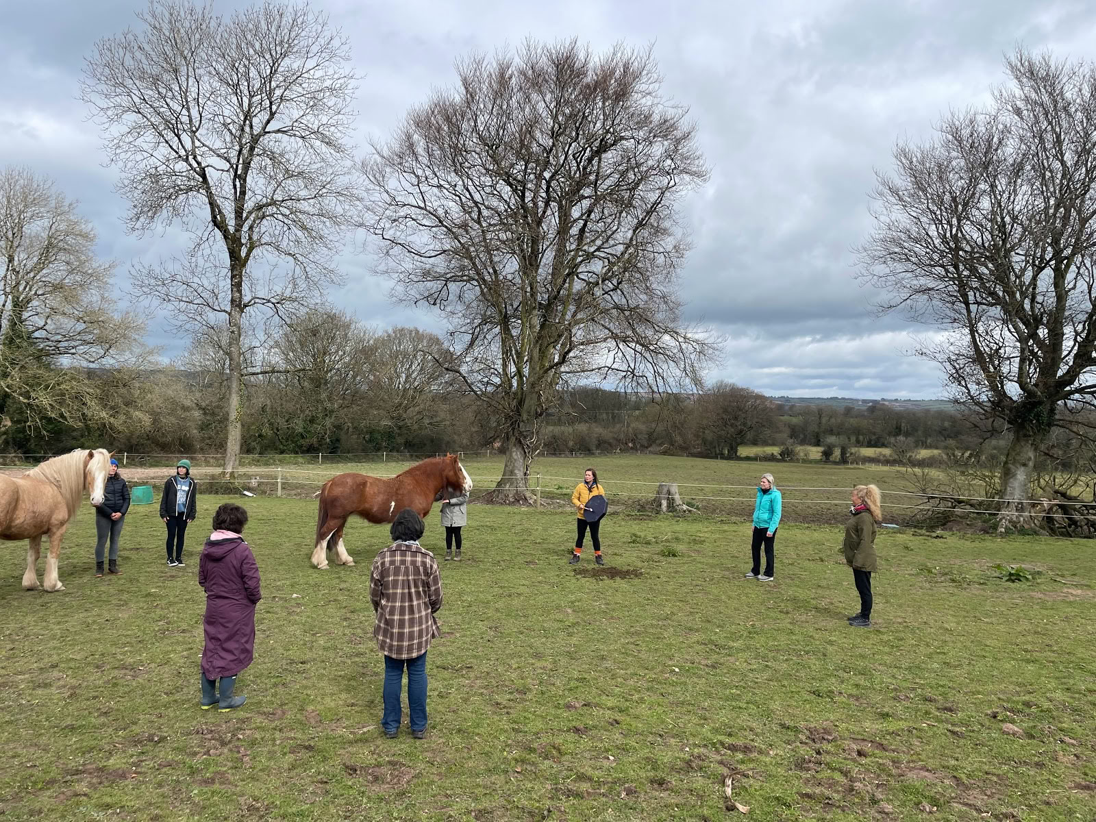 Epona Centre de retraite