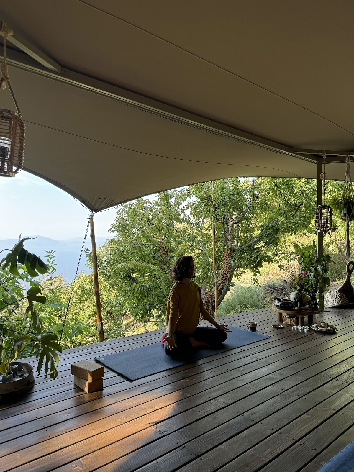 PELION HOMES | Centre de retraite - Expériences immersives au rythme lent, axées sur la nature