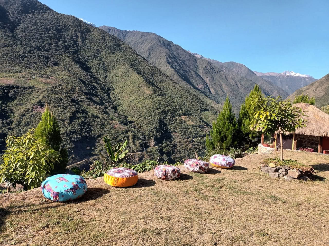 Retraite Ayahuasca Onaya