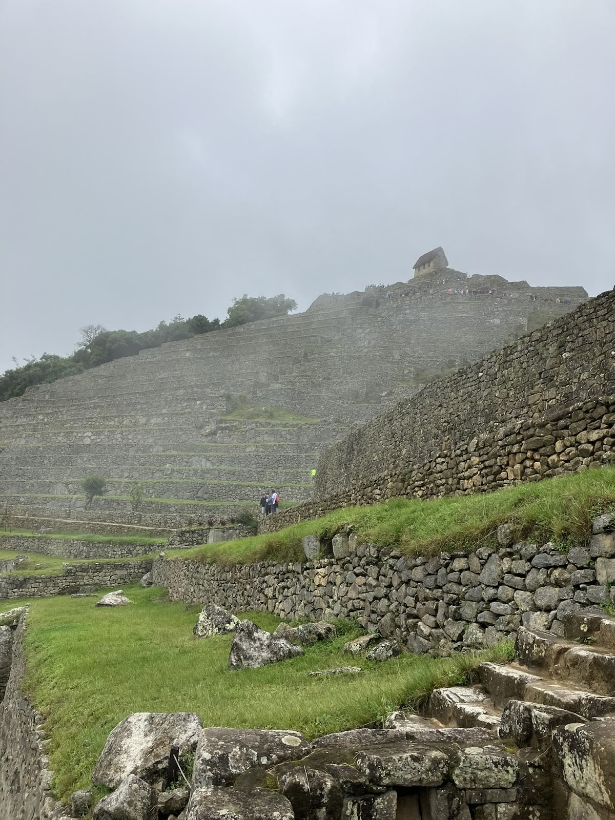 Retraite Ayahuasca Onaya