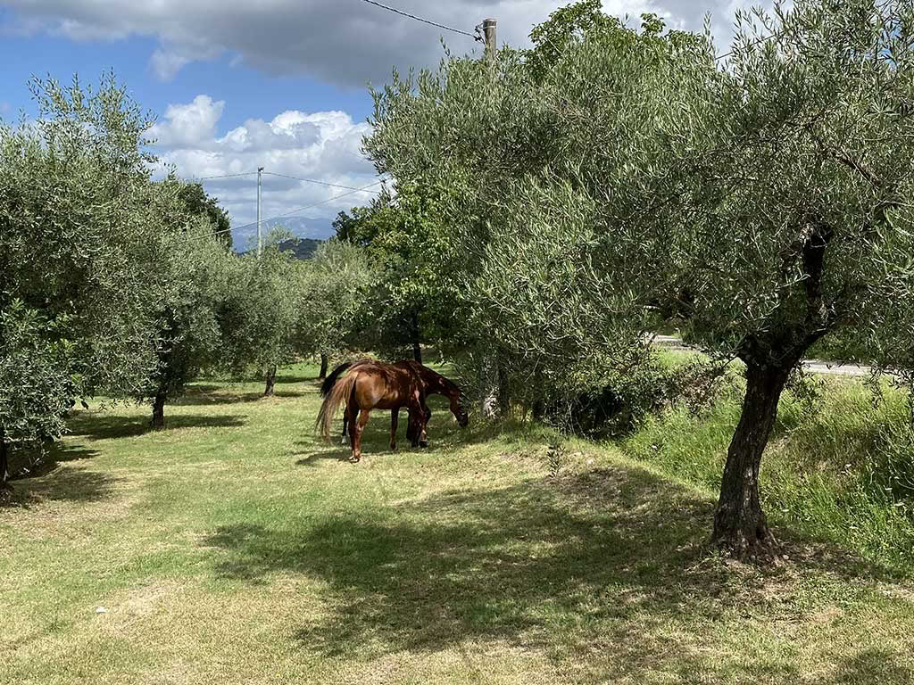 Yoga en Ciociaria