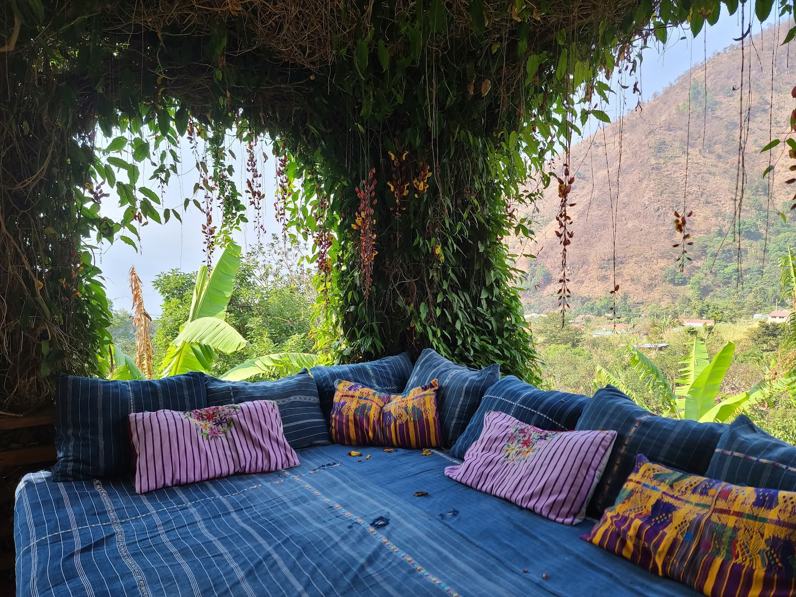 The Seed Habitat