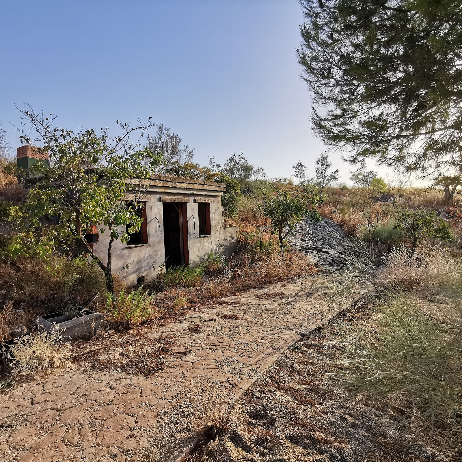 Qiterra Finca pour retraites, formations et ateliers
