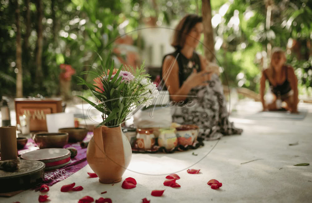 Aloee Wellness (Bureau au Mexique)