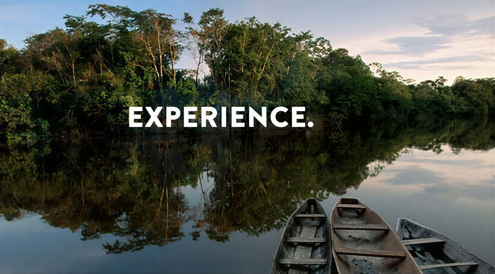 Amazon Experience