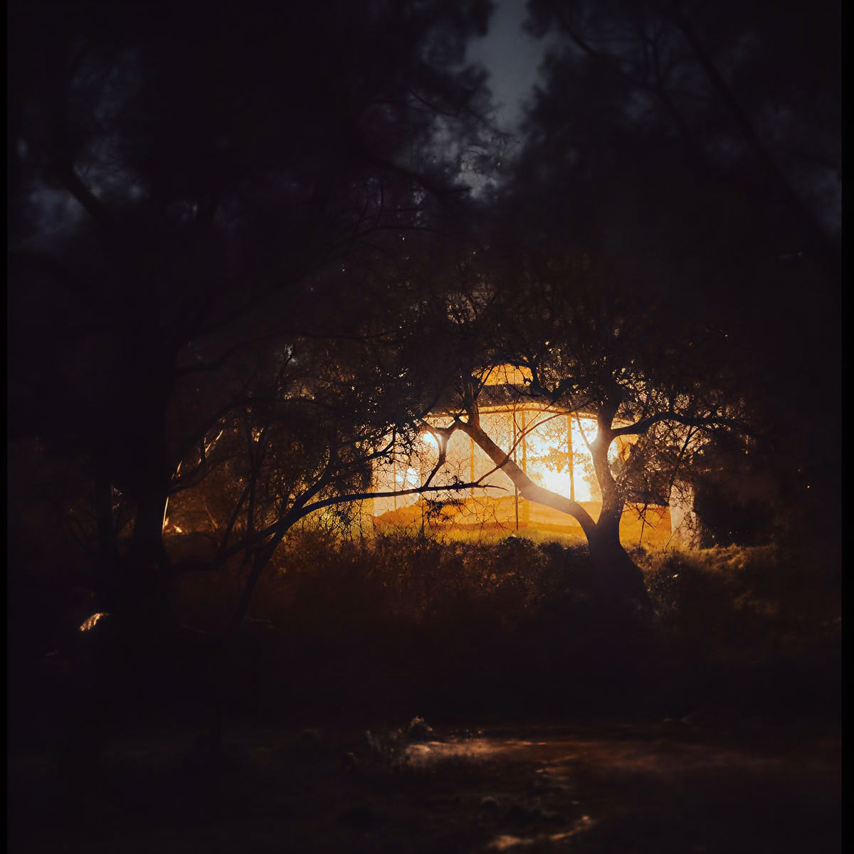 Ananda Forest