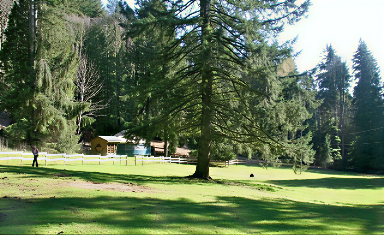 Xenia Centre de retraite