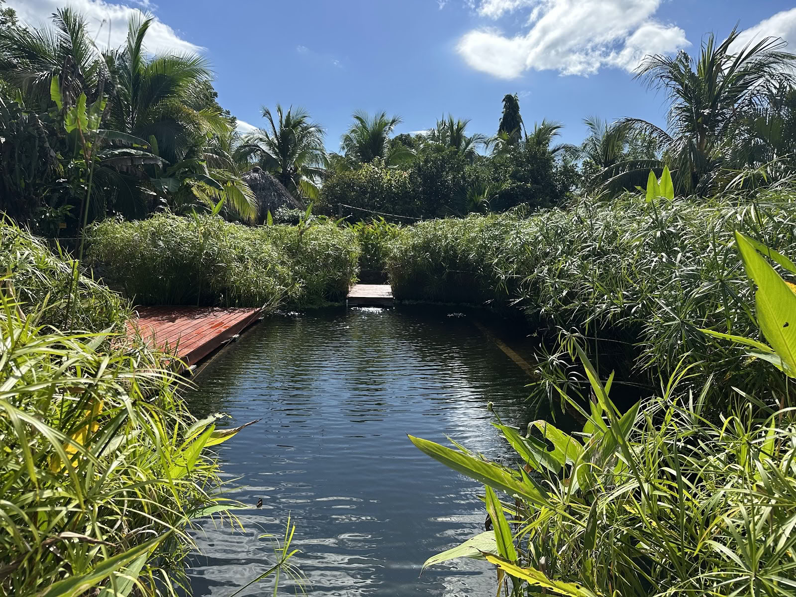 OM Island Retraites